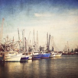 Shrimp Boats Art